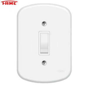 Interruptor Paralelo 10A/250V~ - BLANC (Fame)
